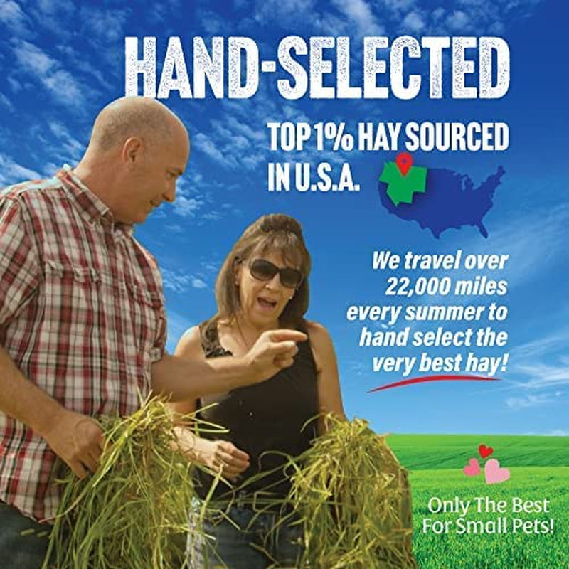 1st Cut Timothy Hay: Pet Food for Rabbits, Guinea Pigs, and Other Small Animals, 12 oz