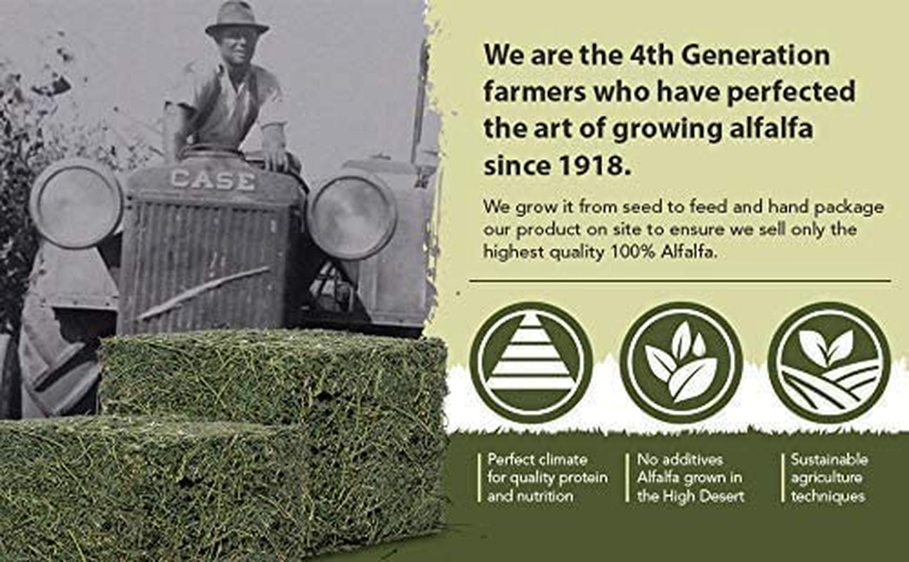 High Desert Alfalfa Hay: Dried Natural Hay for Rabbits, Guinea Pigs, Chinchillas, Ferrets - Protein and Fiber Rich - Healthy Pet Food