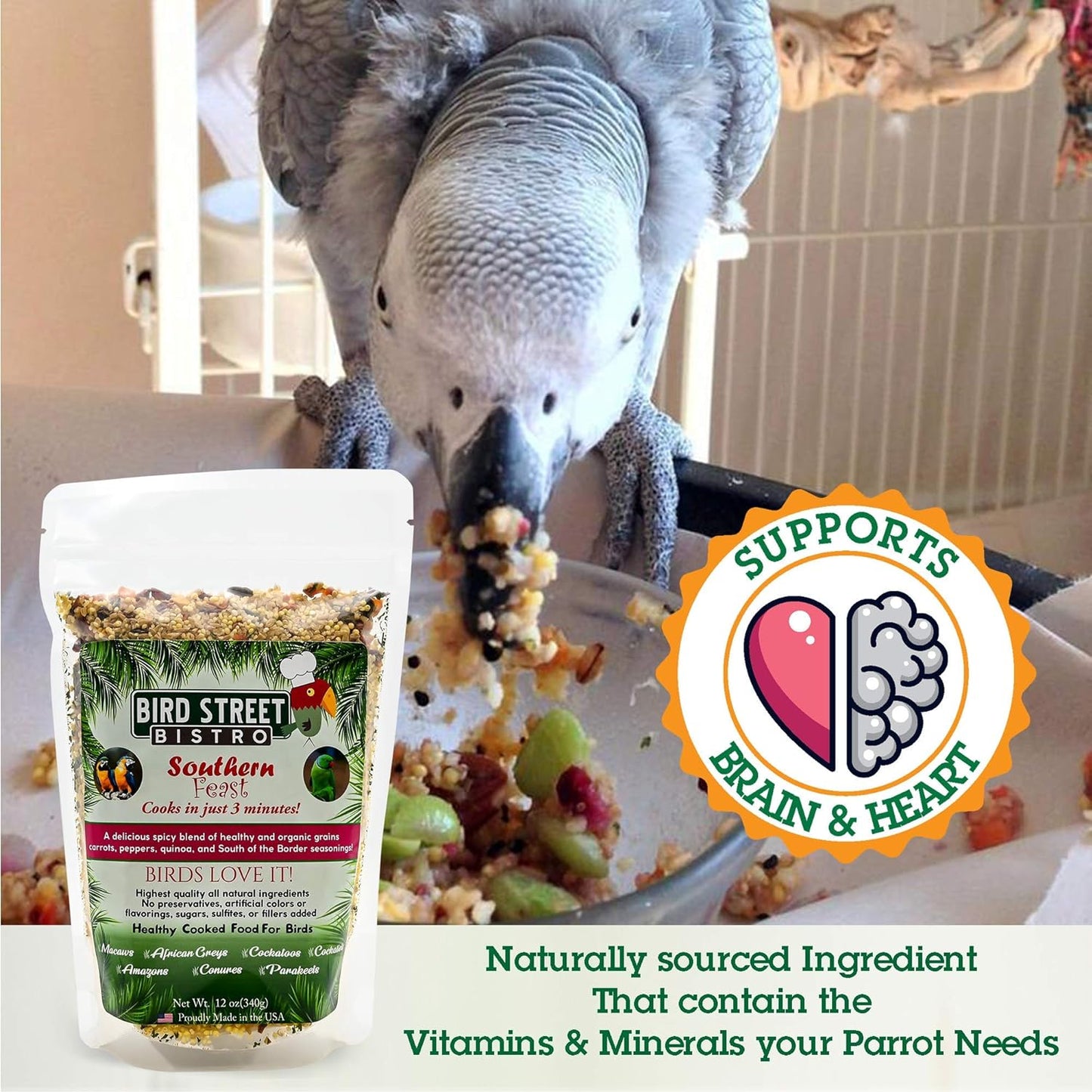 Parrot Food Sample 4 Pack: Parakeet, Cockatiel, Bird Food, Non-GMO Fruits, Healthy Spices
