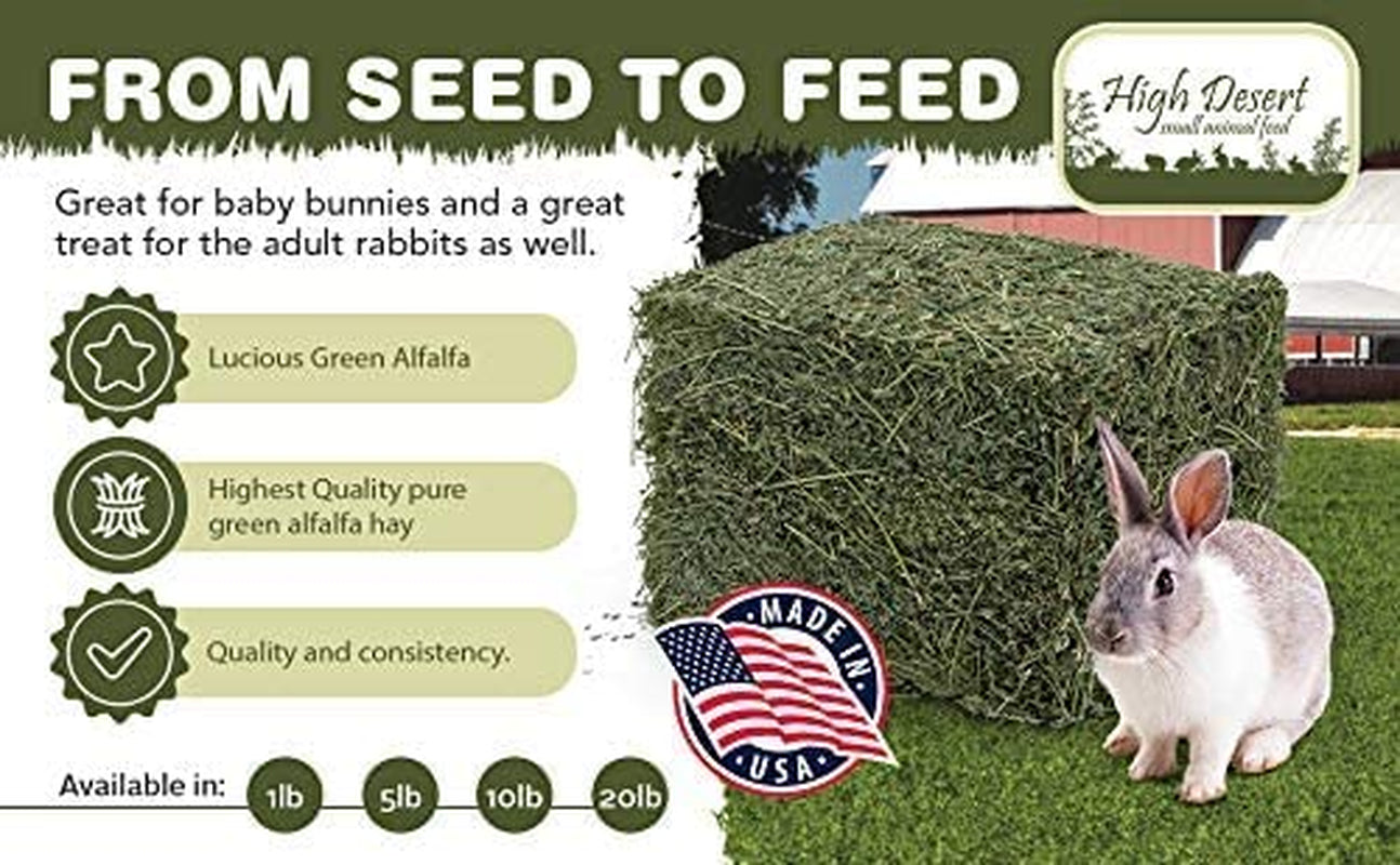 High Desert Alfalfa Hay: Dried Natural Hay for Rabbits, Guinea Pigs, Chinchillas, Ferrets - Protein and Fiber Rich - Healthy Pet Food