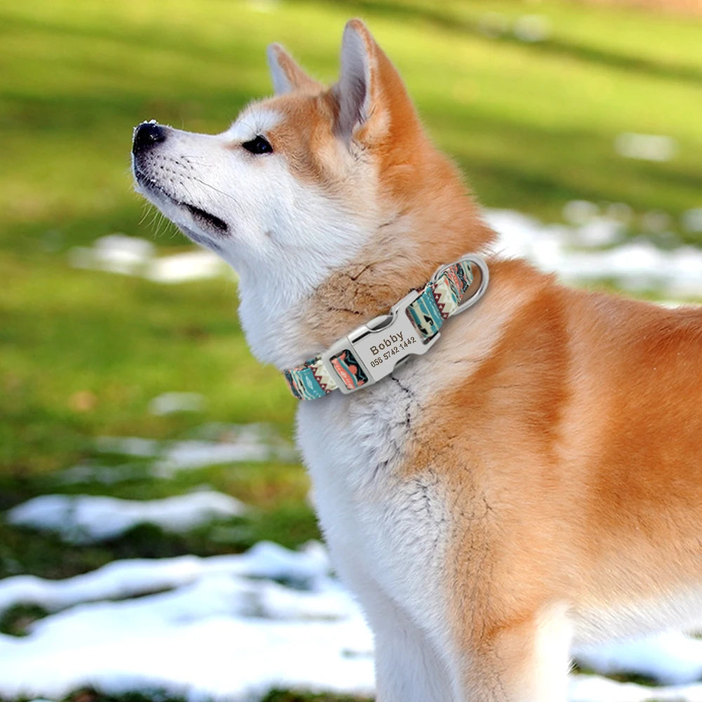 Personalized Nylon Pet Collar: Engraved ID for Dog Safety
