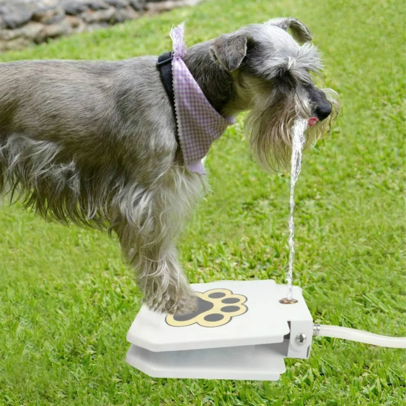 Upgrade Pet Step Spray: Fountain Feeder with Drinking Spring