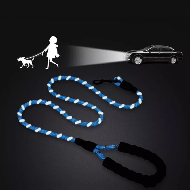 Reflective Dog Leash: Ensure Safety on Evening Walks!