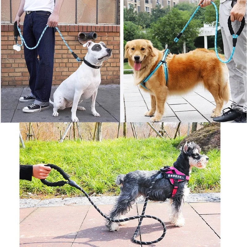 Reflective Dog Leash: Ensure Safety on Evening Walks!