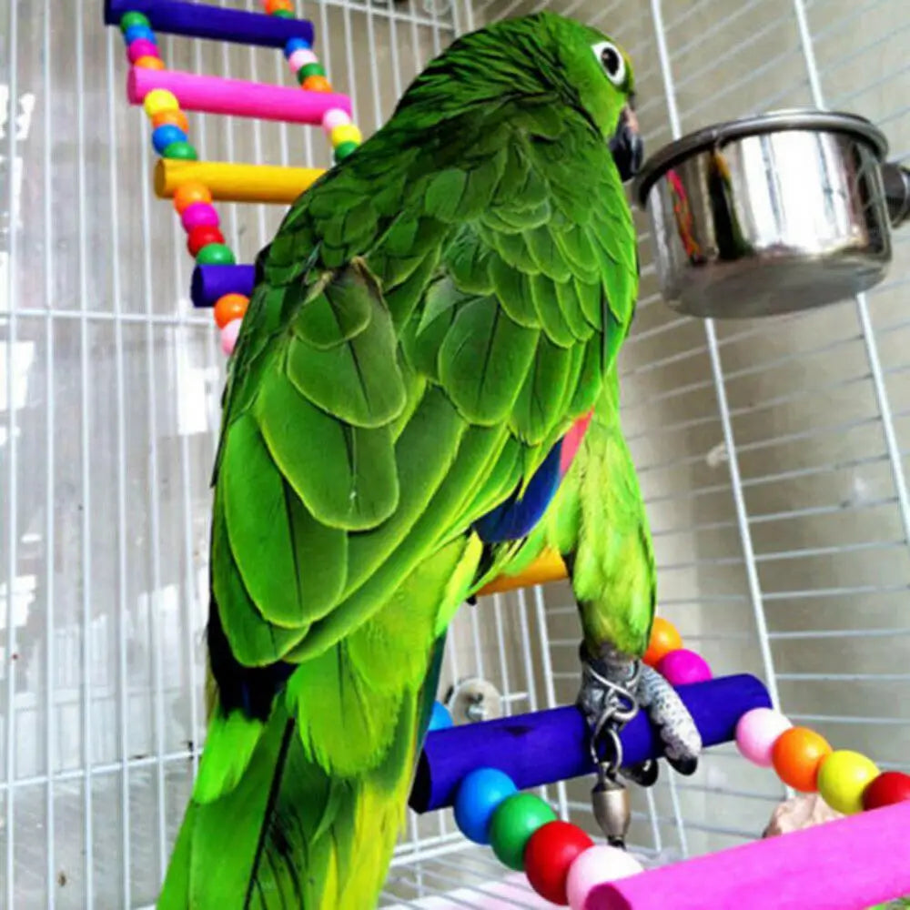 Rat Parrot Toy: Climbing Ladder for Small Pets.