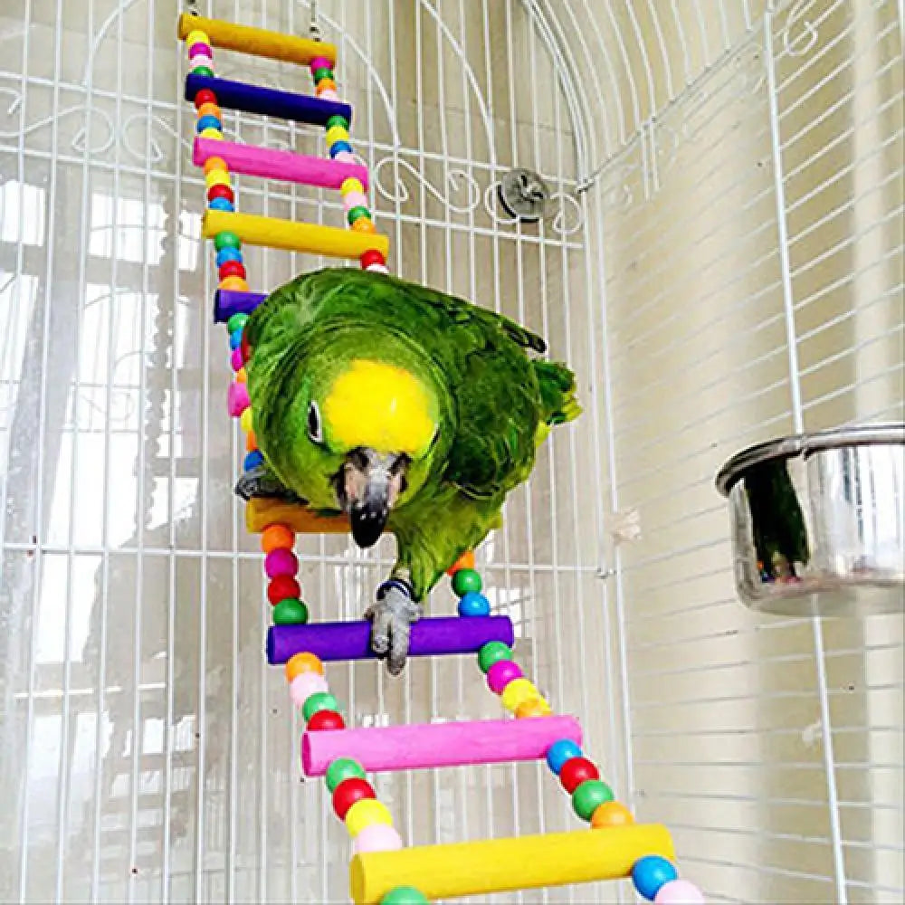 Rat Parrot Toy: Climbing Ladder for Small Pets.