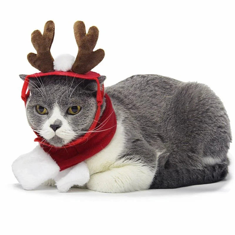 Christmas Pet Accessories: Festive hairpins, antlers, hats for pets.