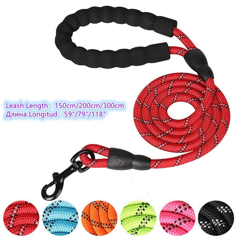 Reflective Dog Leash: Ensure Safety on Evening Walks!