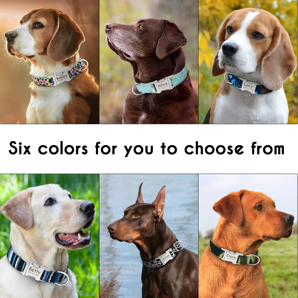 Personalized Nylon Pet Collar: Engraved ID for Dog Safety