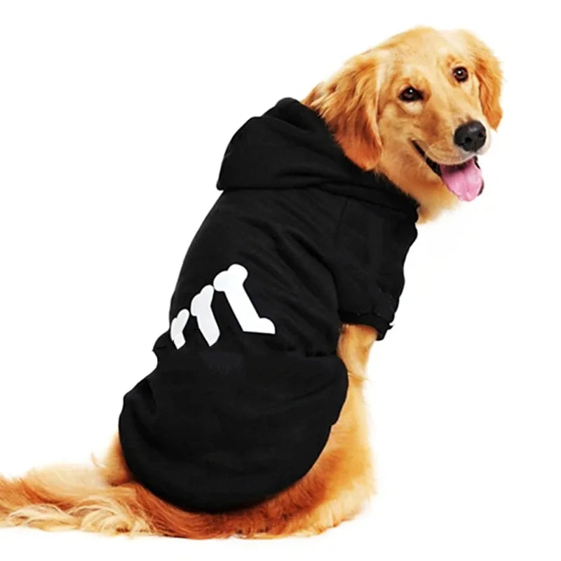 48666457800996|48666457833764|48666457866532|48666457899300|48666458259748|48666458292516|48666458325284