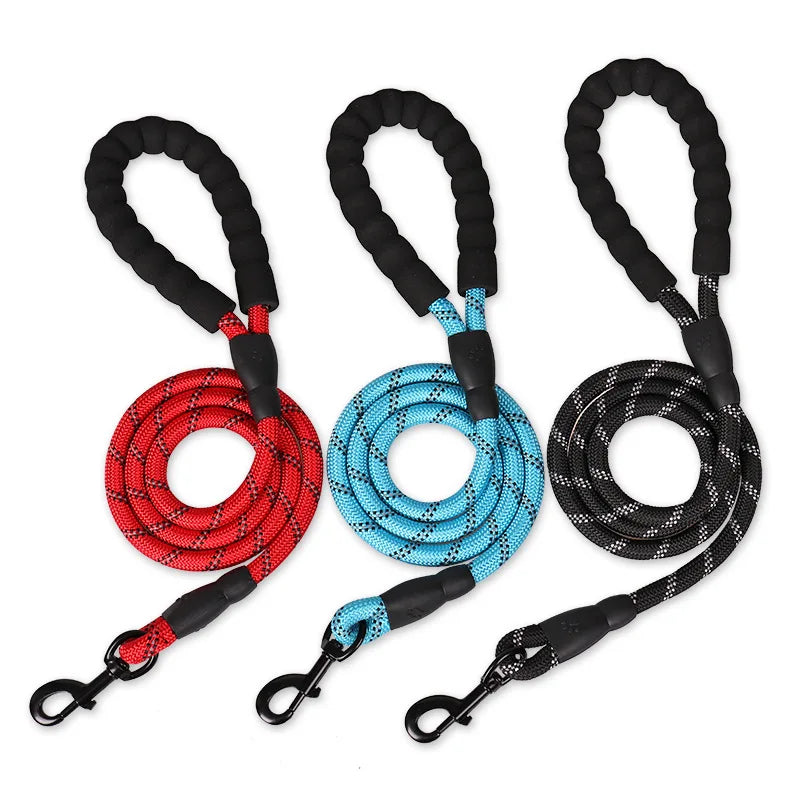 Reflective Dog Leash: Ensure Safety on Evening Walks!