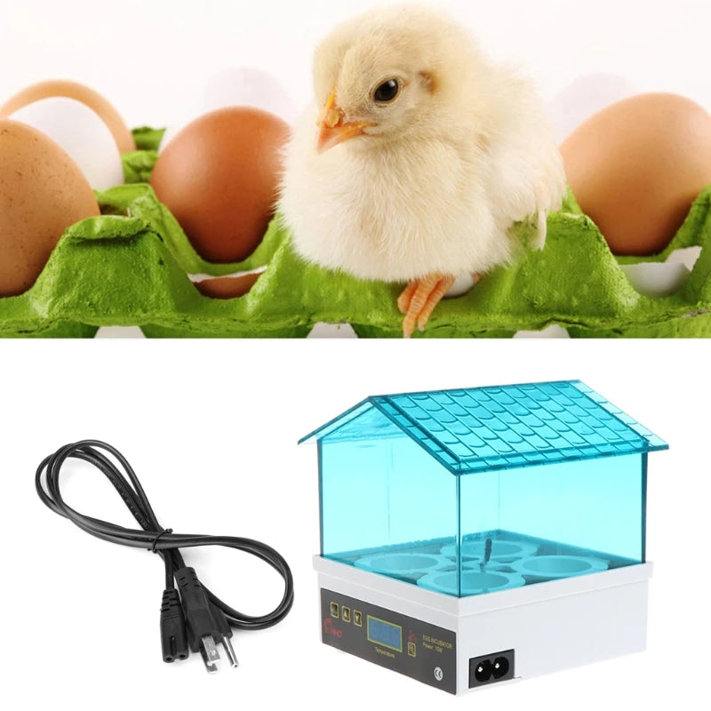 Small Parrot Incubator: Ideal for Eggs.