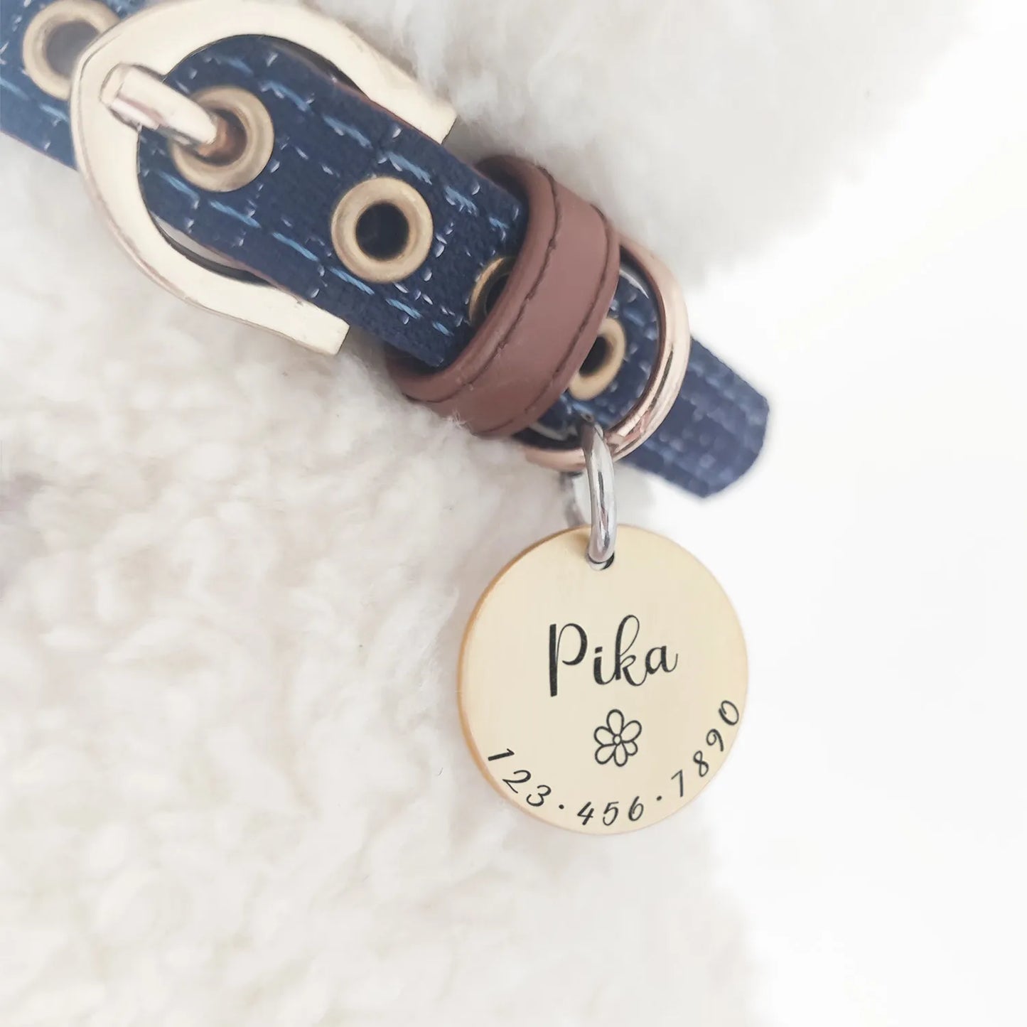 Personalized Pet ID Tag Necklace: Custom Engraved Supplies