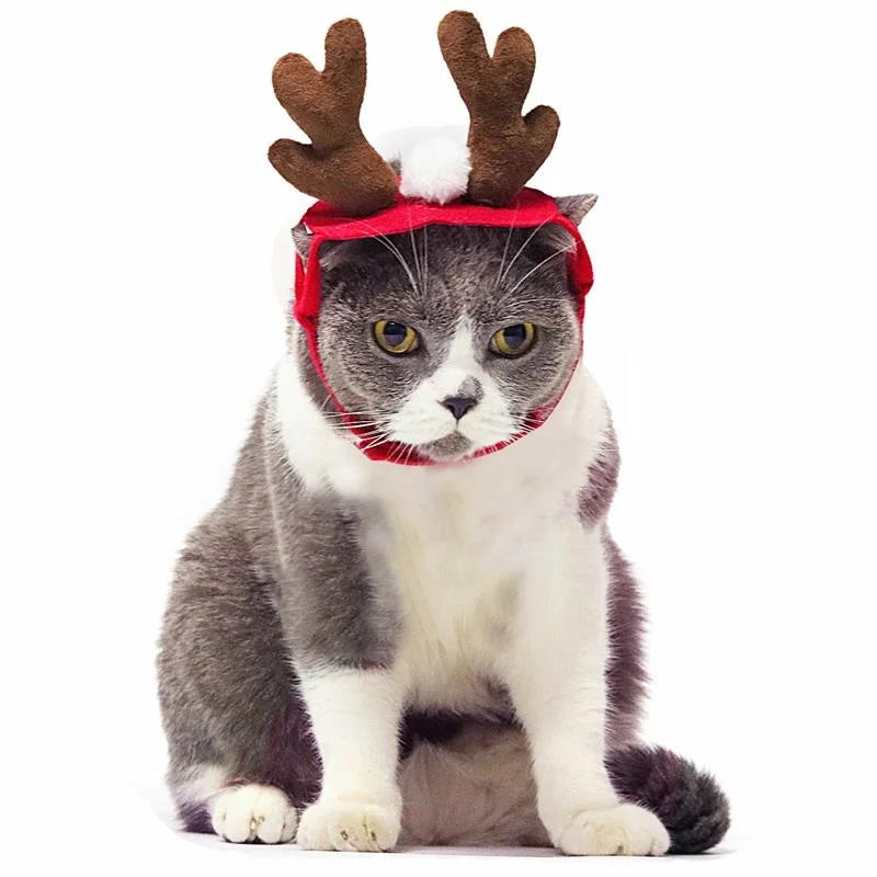 Christmas Pet Accessories: Festive hairpins, antlers, hats for pets.
