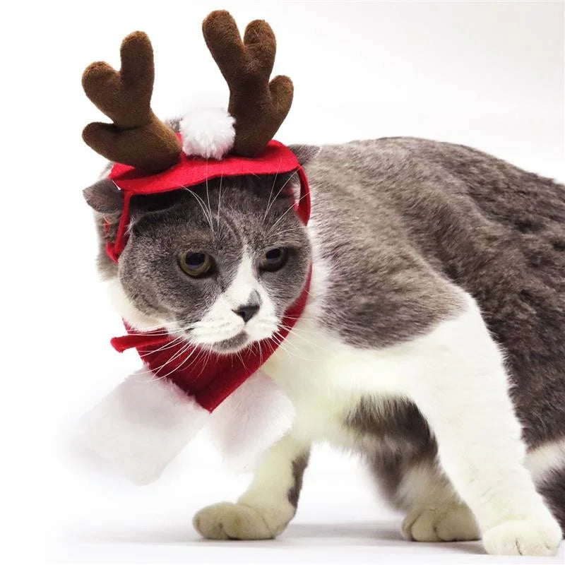 Christmas Pet Accessories: Festive hairpins, antlers, hats for pets.
