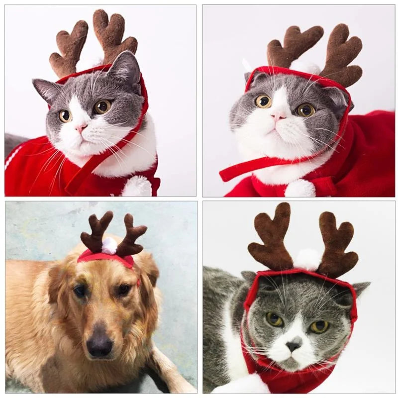 Christmas Pet Accessories: Festive hairpins, antlers, hats for pets.