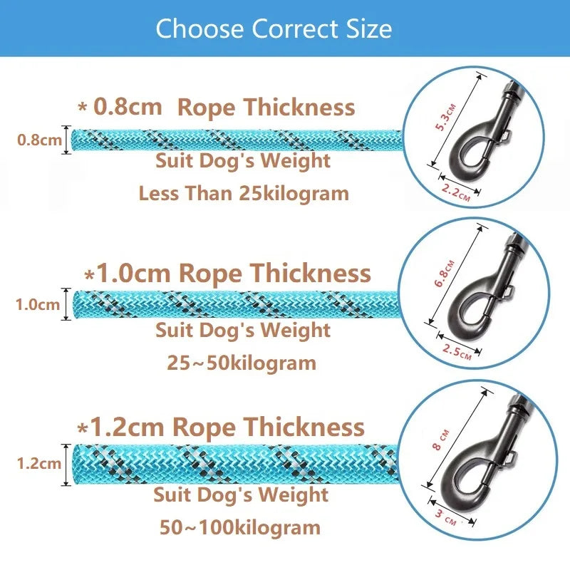 Reflective Dog Leash: Ensure Safety on Evening Walks!