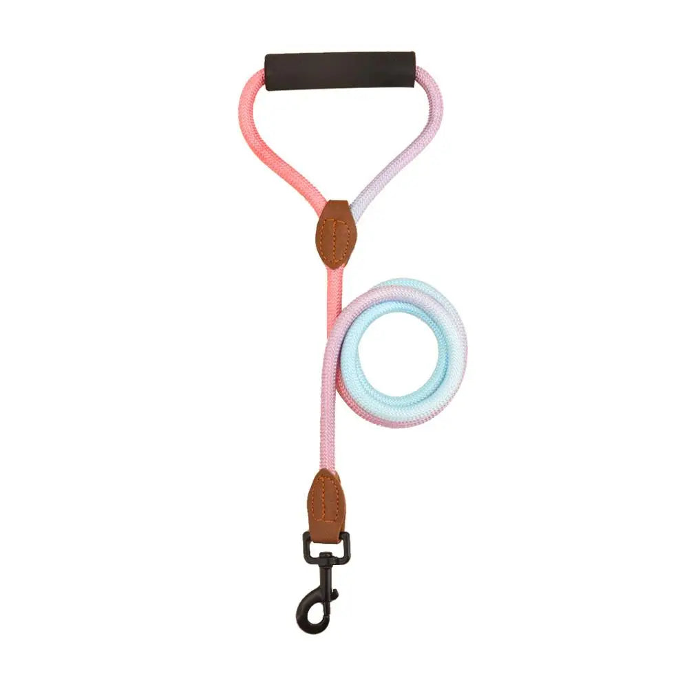 Rainbow Nylon Dog Leash: Durable, walking training, adjustable strap.