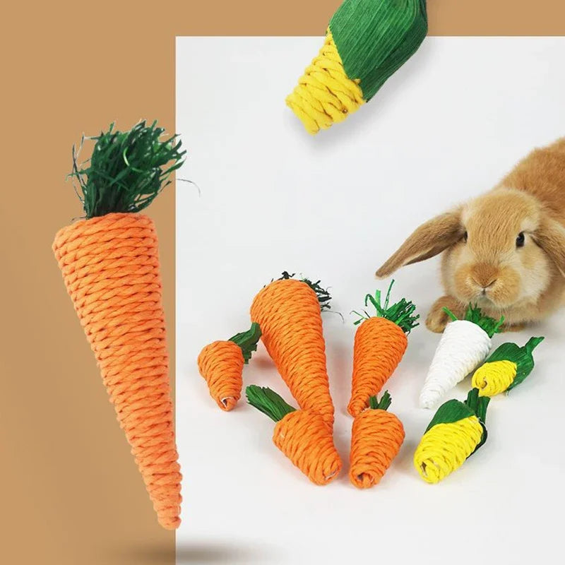Chew Toy Set: Teeth-cleaning toys for small pets.