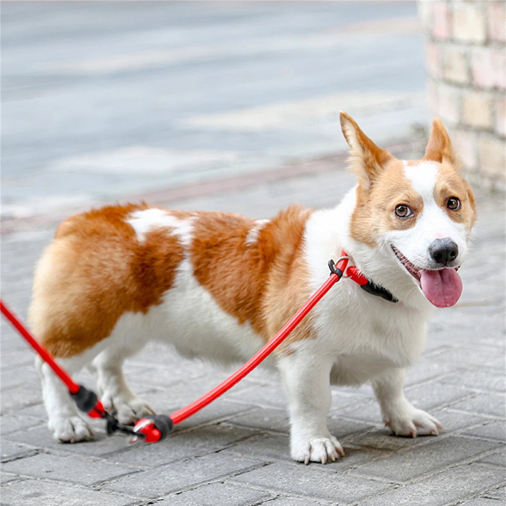 Nylon Pet Chain Collar: Adjustable, Training Accessories, Outdoor Leash