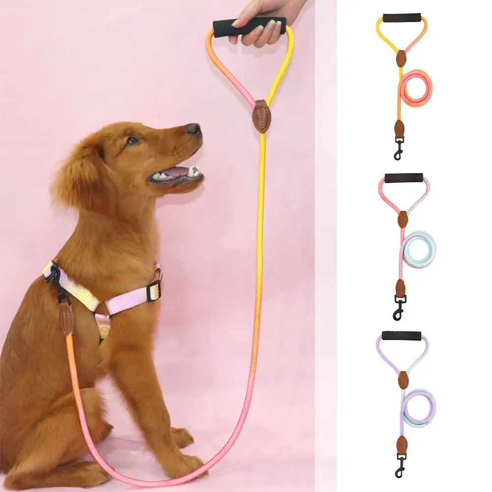 Rainbow Nylon Dog Leash: Durable, walking training, adjustable strap.