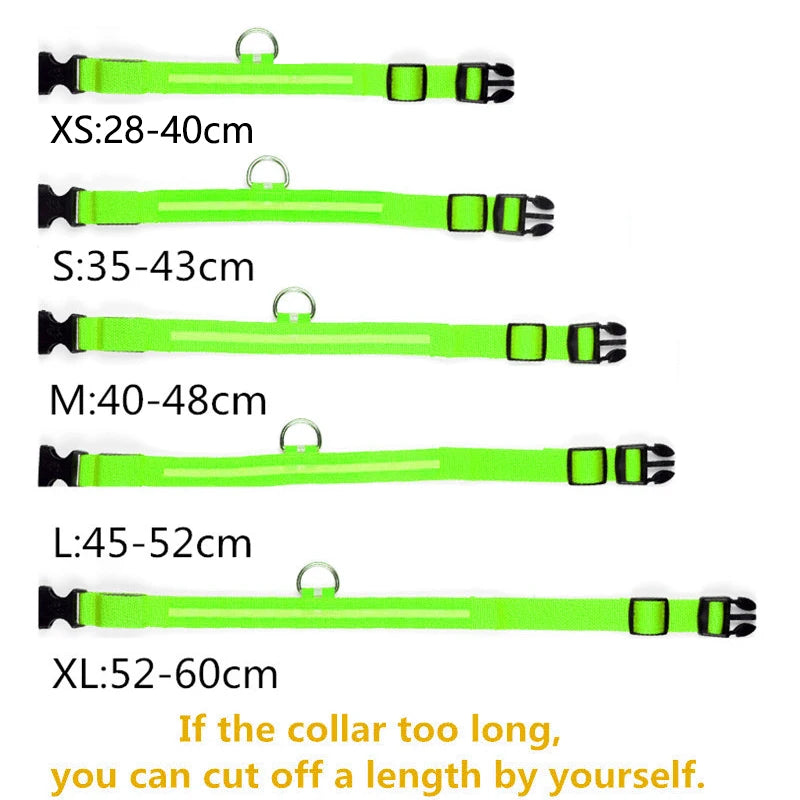 Rechargeable Waterproof Dog Collar: Adjustable Night Light, Safety Necklace.