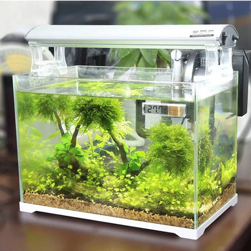 Digital Aquarium Thermometer: Monitor Your Tank's Temperature!