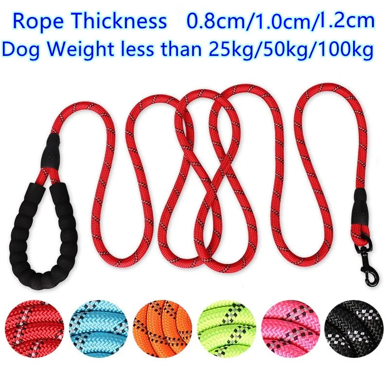 Reflective Dog Leash: Ensure Safety on Evening Walks!