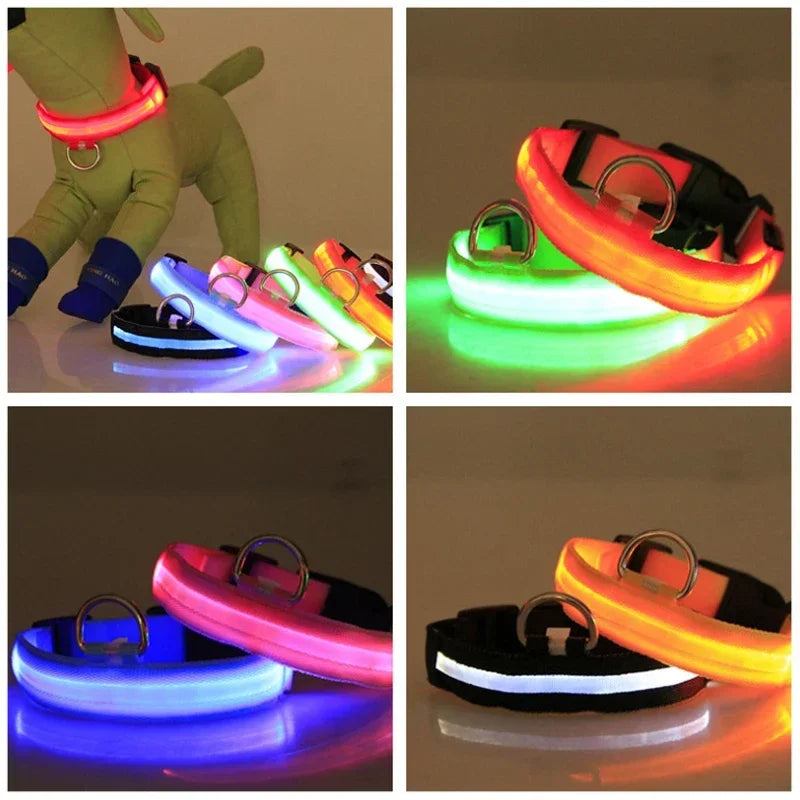 USB Charging LED Dog Collar: Illuminated collar for night walks.
