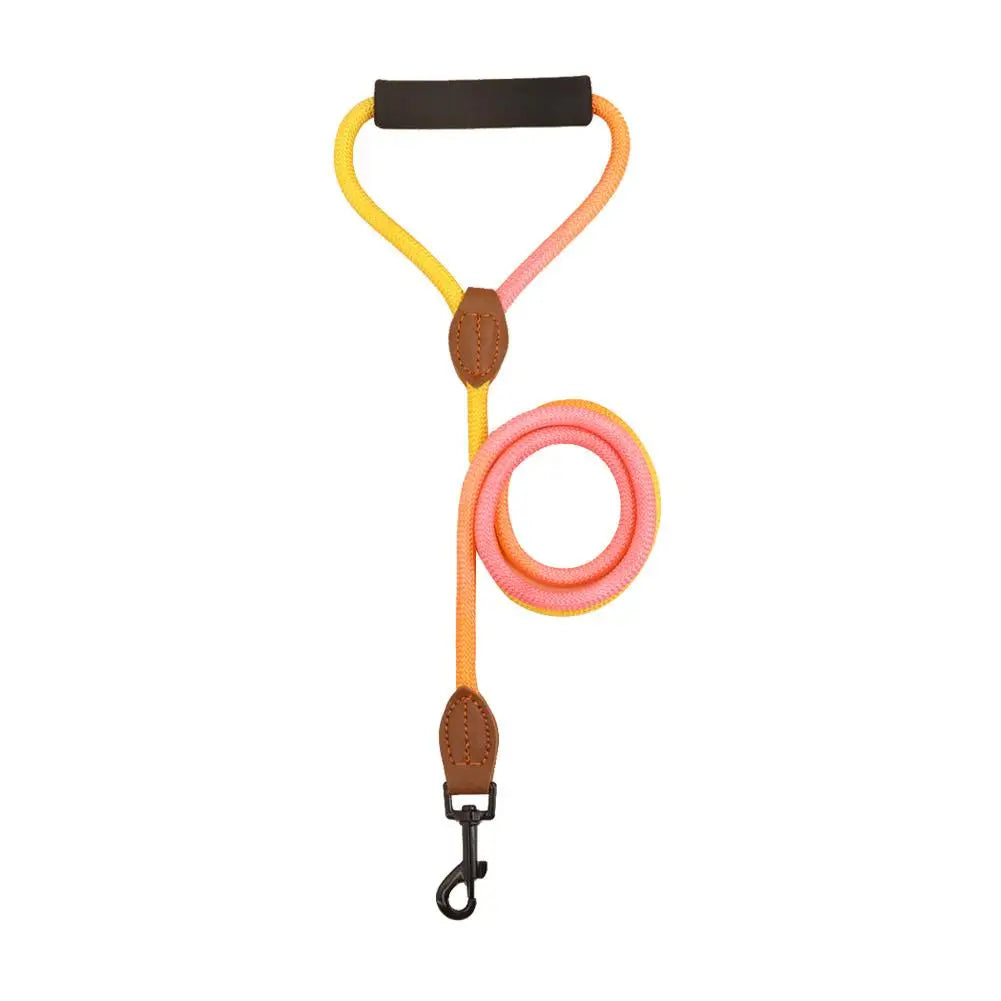 Rainbow Nylon Dog Leash: Durable, walking training, adjustable strap.