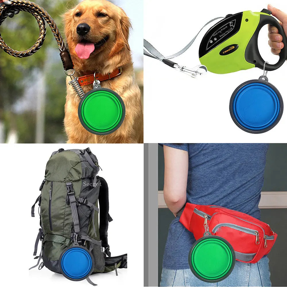 Silicone Bowl: Foldable, portable, for dog food.