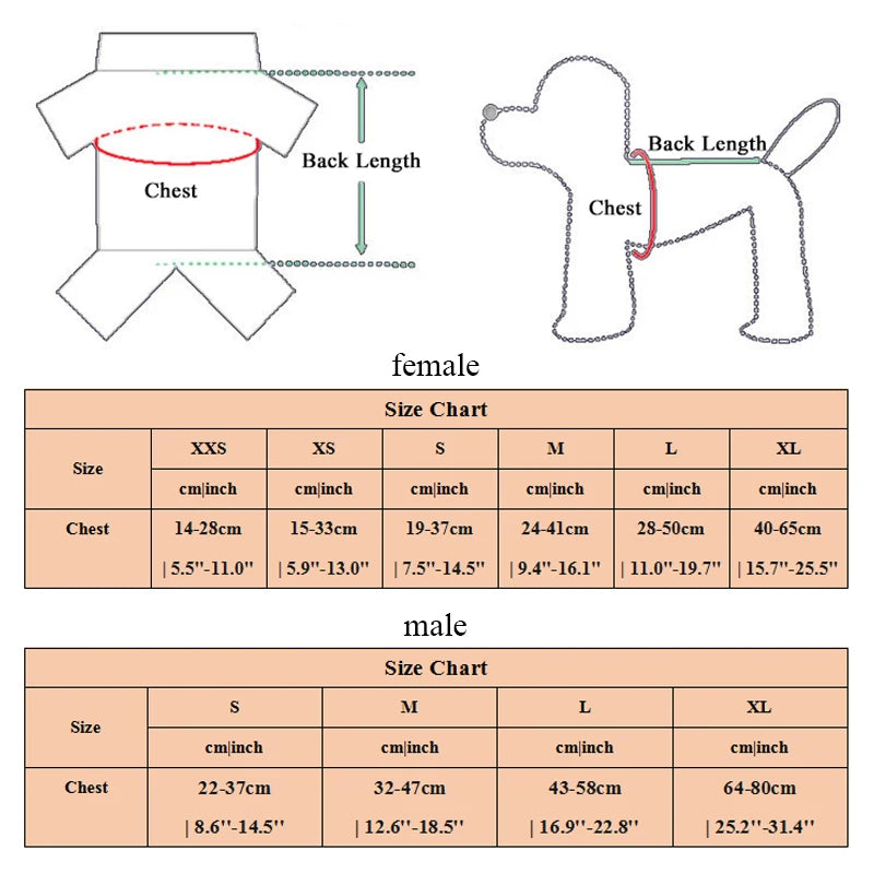New Style Pet Diapers: Cotton Physiological Pants
