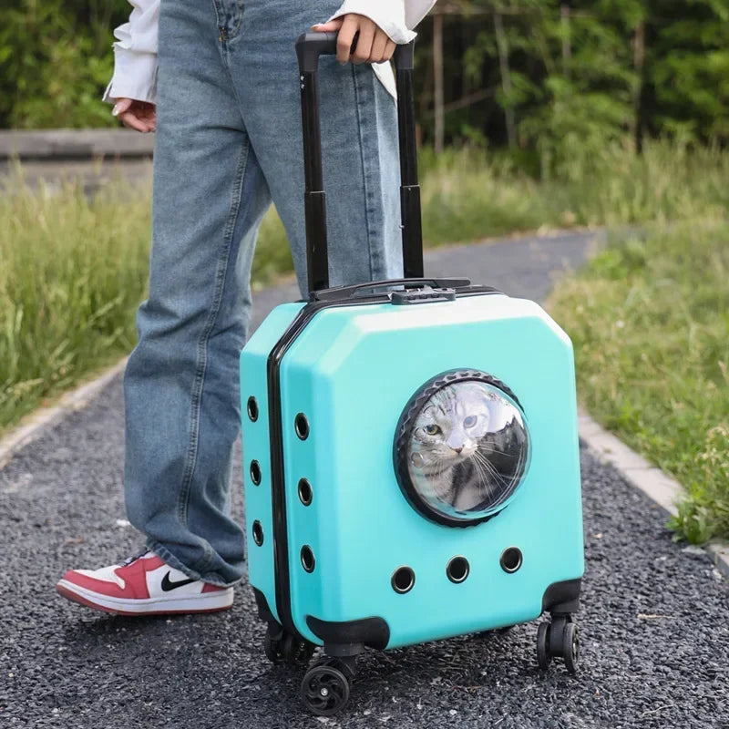 Pet Trolley Case: Transparent capsule design, with wheels, for travel.