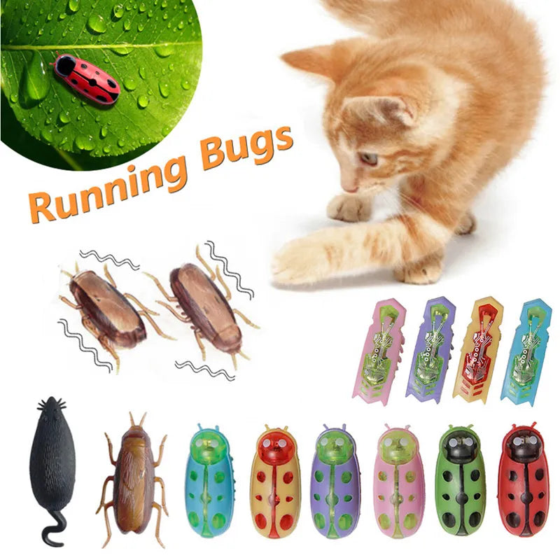 Electric Bug Cat Toy | Pet Gear | Pet Toys | Pet Food | Pet Paradise Pet Paradise Gear Electric Bug Cat Toy | Pet Gear | Pet Toys | Pet Food | Pet Paradise Pet Paradise Gear