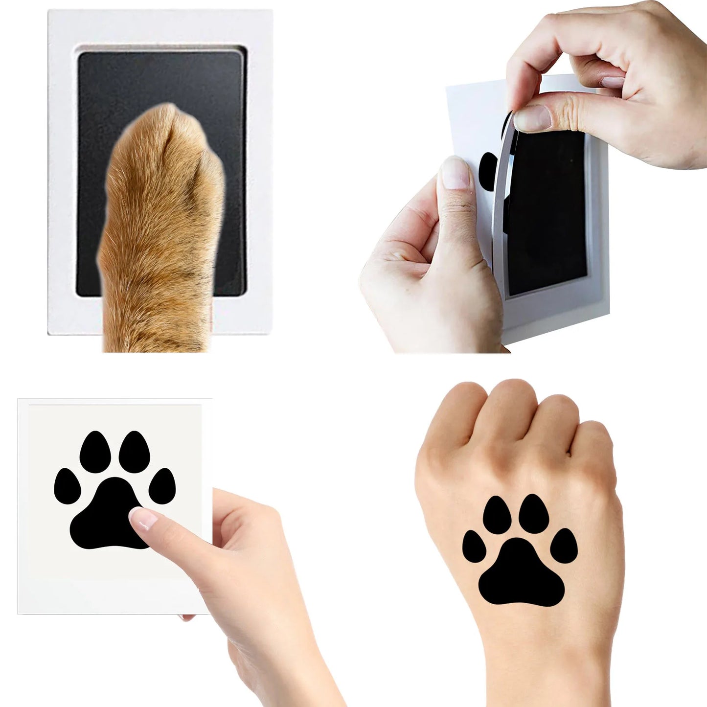 Paw Print Ink Pads: DIY Photo Frame Accessory, Newborn Souvenir