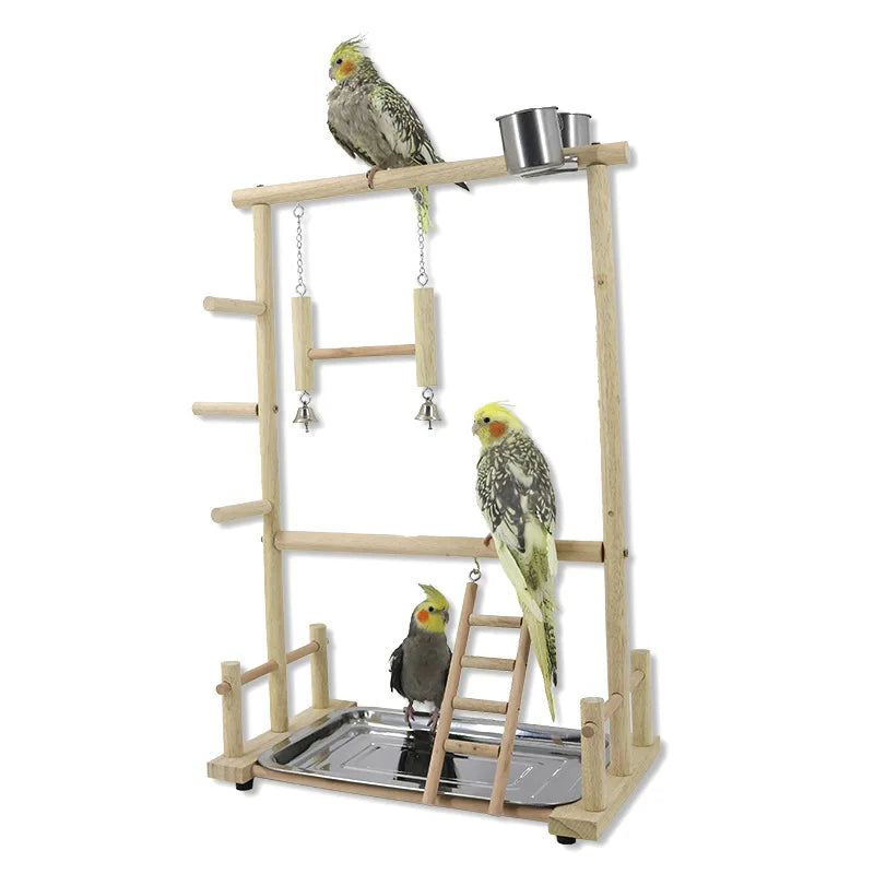 Parrot Swing Ladders
