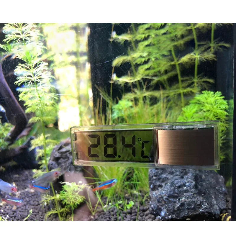 Digital Aquarium Thermometer: Monitor Your Tank's Temperature!