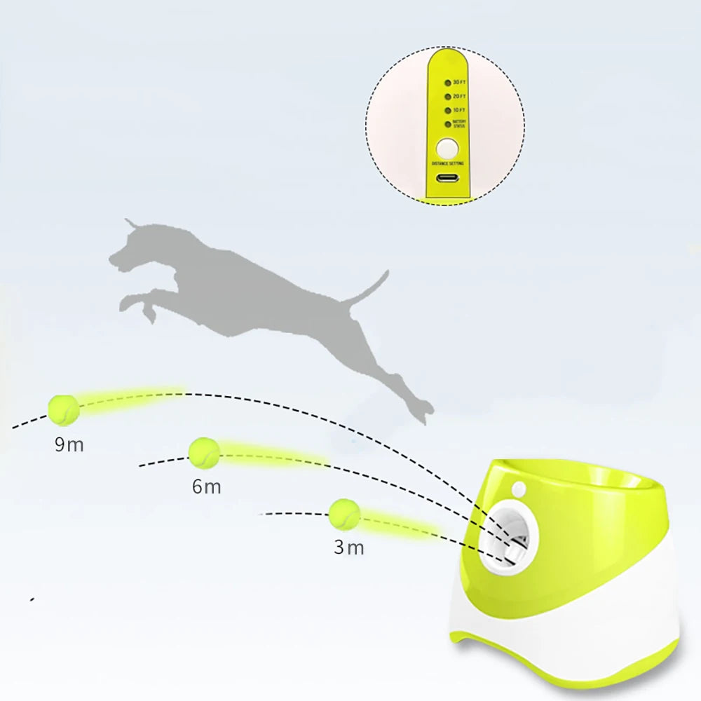 Dog Ball Thrower: Effortless Fun and Exercise for Your Dog!