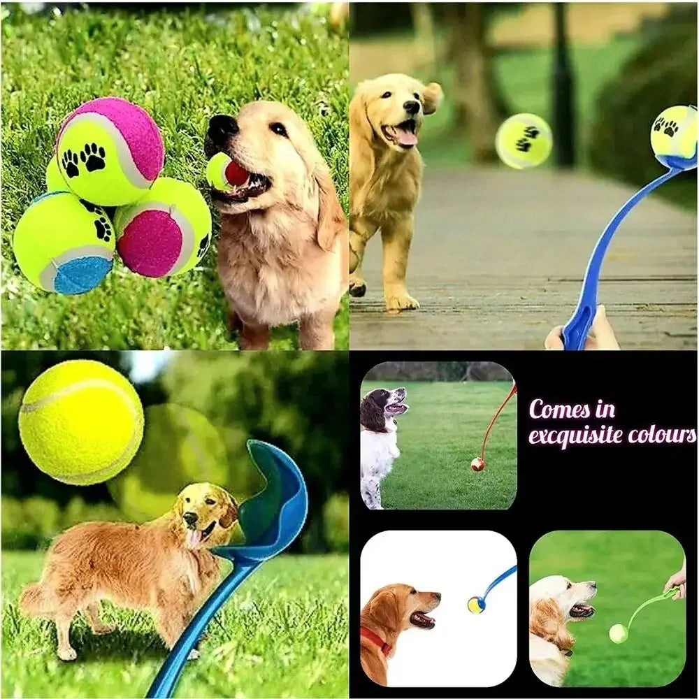 Throwing Stick Dog Toy: Outdoor Training Launcher Pole