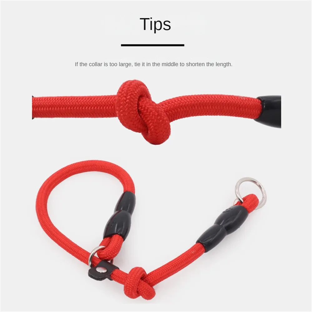 Nylon Pet Chain Collar: Adjustable, Training Accessories, Outdoor Leash