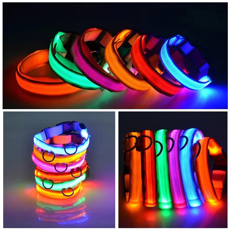USB Charging LED Dog Collar: Illuminated collar for night walks.
