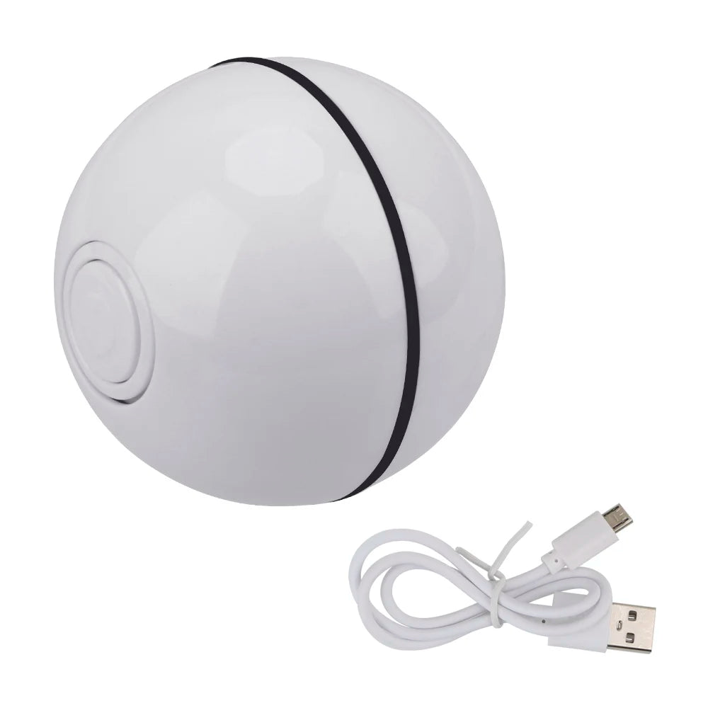 48777879814436|48777879879972