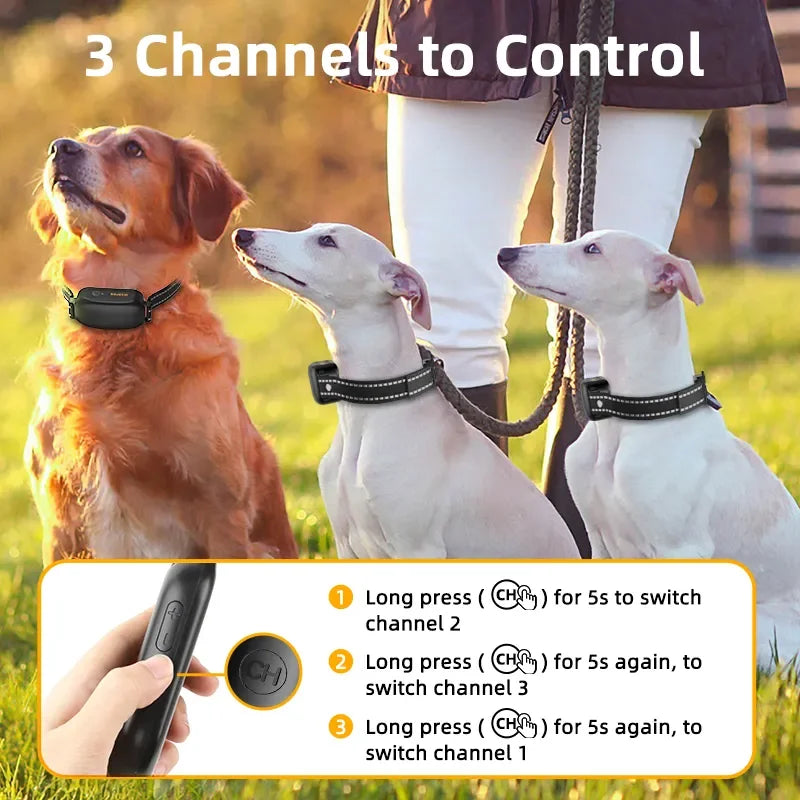 Dog Training Collar: Rechargeable, Safety Training Modes