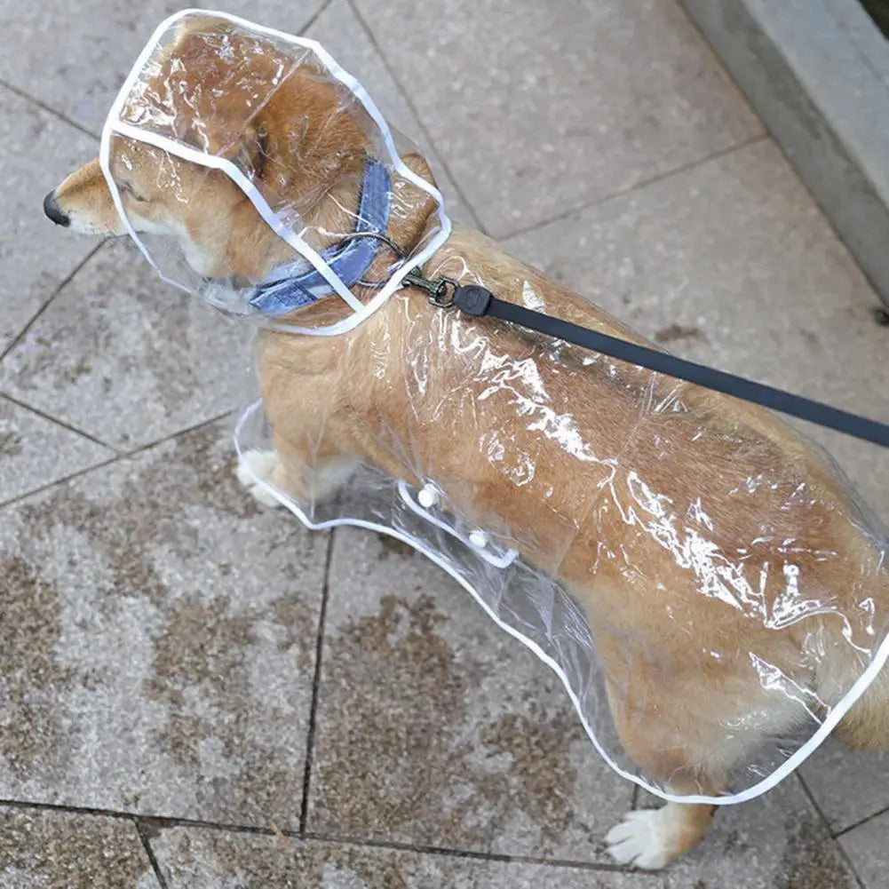 Pet Raincoat: Transparent, Adjustable, Windproof, Soft Dog Rainwear