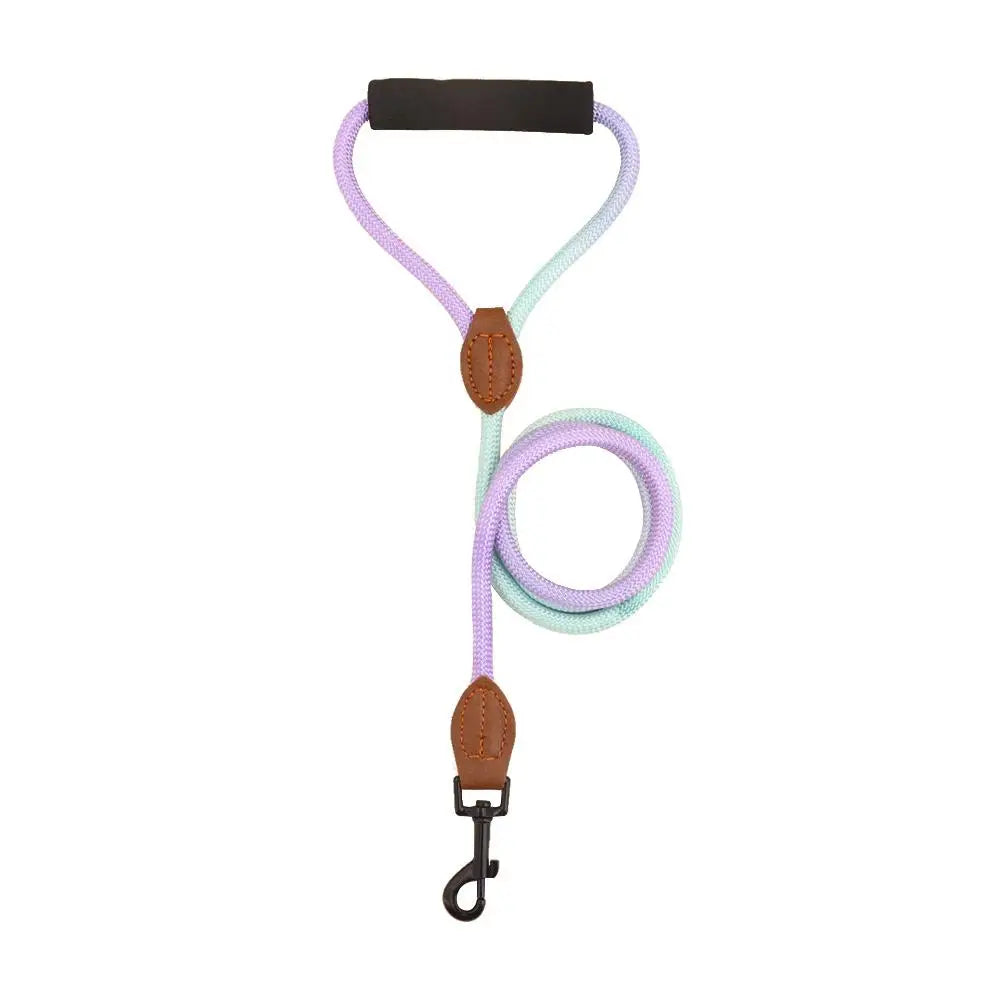 Rainbow Nylon Dog Leash: Durable, walking training, adjustable strap.