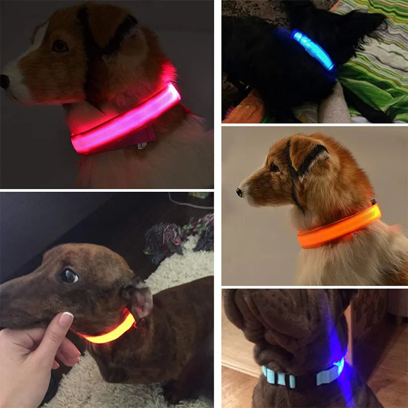 Rechargeable Waterproof Dog Collar: Adjustable Night Light, Safety Necklace.