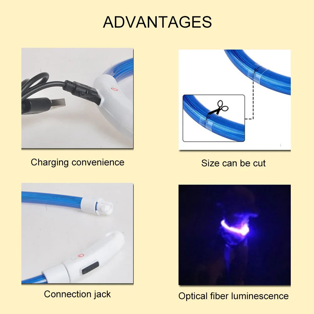 USB Luminous Dog Collar: 3 Modes LED Light, Glowing Prevention.