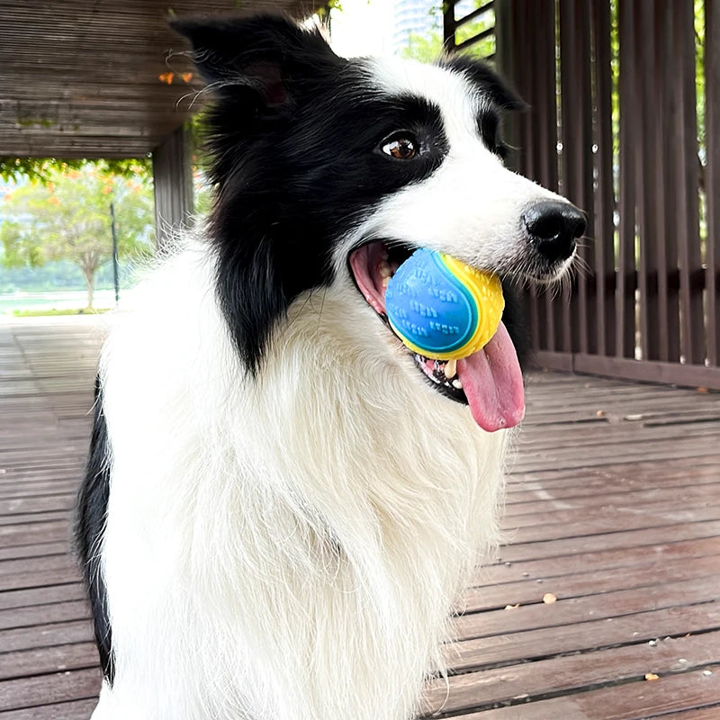 Interactive Dog Toys: Soft TPR material, teeth cleaning, squeaky ball.