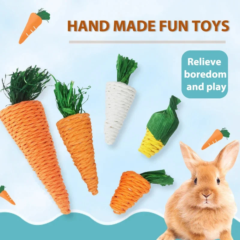 Chew Toy Set: Teeth-cleaning toys for small pets.