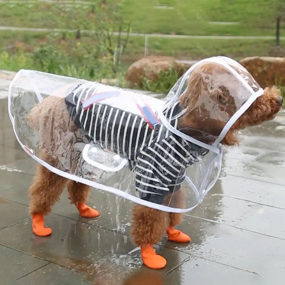 Pet Raincoat: Transparent, Adjustable, Windproof, Soft Dog Rainwear